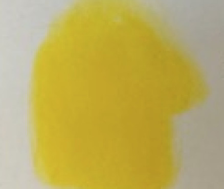 Νο. 97 - ξηρό παστέλ l'ecu Sennelier Naples yellow